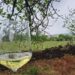Vino, per la Sicilia il 2023 annata performante nonostante calo produttivo