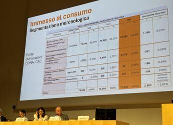 Beach e park littering, tra i materiali dispersi solo lo 0,2% in biopolimeri