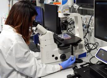 Scoperto Mytho, il nuovo gene anti-età