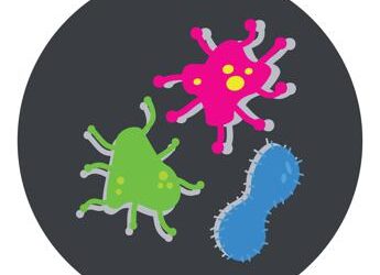 Se i batteri mettono alla prova l’intestino, la Sibo in 10 punti