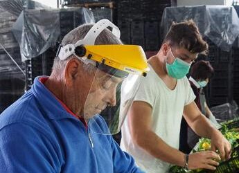 Inca Cgil: “In aumento neoplasie professionali, troppi lavoratori esposti a fattori cancerogeni”