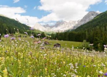 Enogastronomia, la Strada del vino e dei sapori del Trentino forma ambasciatori di eccellenze