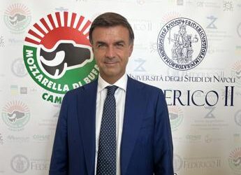 Agroalimentare, Prandini (Coldiretti): “Basta attacchi e fake news su produzioni di eccellenza”