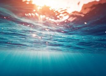 Alla scoperta del mondo sommerso, gli obiettivi della ricerca