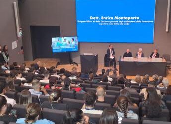 Binetti: “Non correttamente considerato il lavoro dell’infermiere”