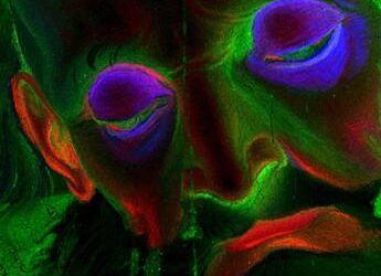 L’Intelligenza Artificiale al servizio dell’Arte e della conservazione del patrimonio artistico