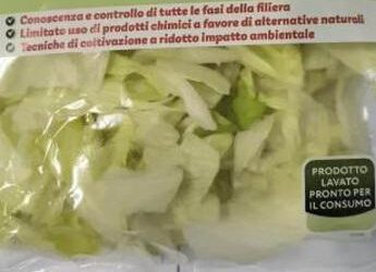 Listeria in insalata iceberg in busta, richiamati lotti di 19 marchi