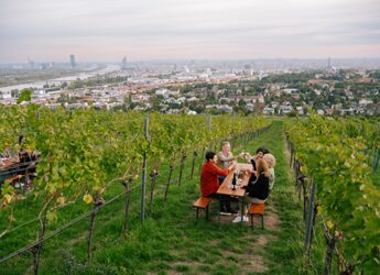 Turismo, alla scoperta dei vigneti viennesi