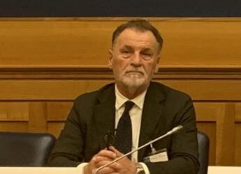 Lavoro, Ballarè (Manageritalia): “Serve genitorialità più condivisa, 5 proposte a politica”