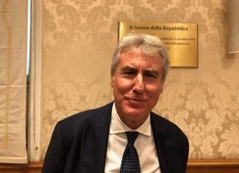 Medicina, Covelli (Lum): “Ecco come siamo arrivati a quella odierna”