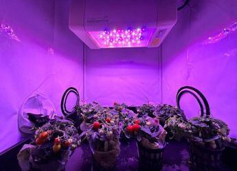 Spazio, orti hi-tech e facility per prepararsi a Luna e Marte