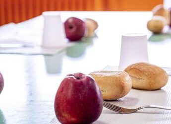 Al via il progetto ‘Costruiamo la salute! Biologi nelle scuole’