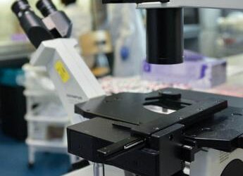 Cancro, svelato nuovo bersaglio per combattere tumore della colecisti