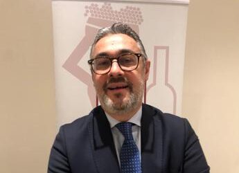Vino, Pantini (Nomisma): “Identikit produttore Fivi è piccolo imprenditore vitivinicolo”