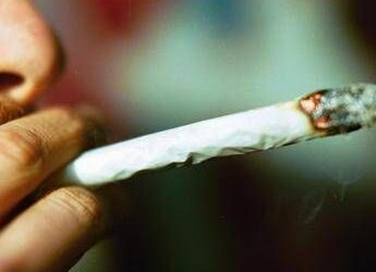 Cannabis, potenza in aumento: 5 cose da sapere su rischio psicosi