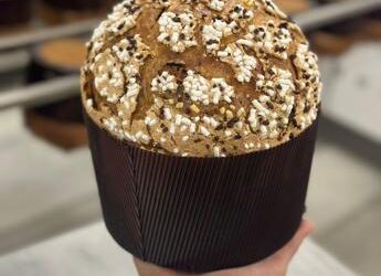 Natale, Panettone: da Nord a Sud ecco proposte innovative Maestri Accademia lievito madre
