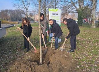 Sostenibilità, PiantiAmo il futuro: 200 alberi a Ferrara con il progetto di Nescafé