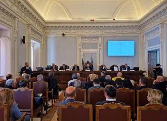 Mozzarella di Bufala Campana Dop, aumentano consumi al Centro e Nord-Est