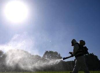 Dengue, gli esperti: “Bene modello marchigiano per contenere focolaio”