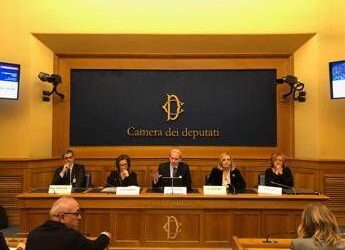 Intergruppo parlamentare ‘One Brain’: i punti programmatici