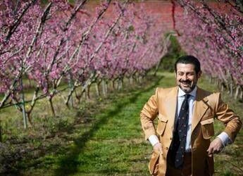 Marche: in fiore gli alberi della pesca Saturnia, l’agricoltura di qualità diventa attrazione turistica