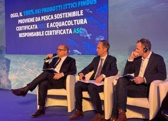 Findus, Roca: “Mercato in leggera crescita, nel 2024 noi cresciuti del 2,6%”