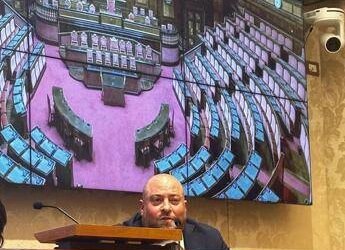 Malattie rare, Lamperti (Nemo): “Con nostra assistenza meno ricoveri in Ssn”