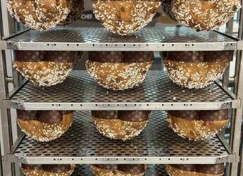 Pasqua: vegana e senza glutine, in scelta colomba sempre più attenzione a salute