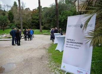 Tutela del verde in 13 città metropolitane, Mase lancia ‘RiforestAzione’