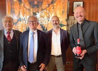 Vino, strategie per adeguarsi ai prossimi cicli economici per settore resiliente