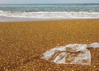 Indagine Beach Litter, peggiorato il grado di pulizia delle spiagge