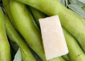 Favismo per 400mila italiani, rischi anche da farmaci e infezioni