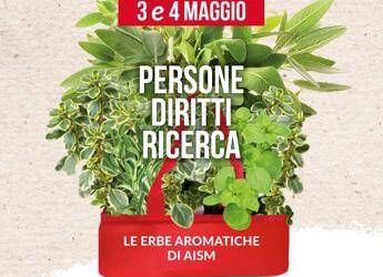 Ricerca, le erbe aromatiche di Aism tornano in piazza per lotta alla sclerosi multipla