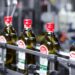Olio: Coricelli, fatturato record di 415 milioni nel 2024, +25%