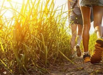 Progetto DoiMan, in Val di Sole un concorso per i turisti più gentili