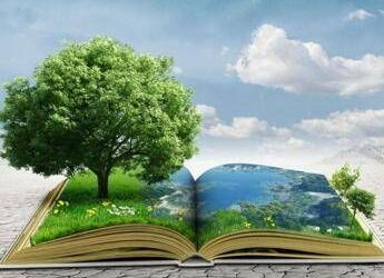 Sostenibilità e cooperazione, Treviso capitale dell’ecologia integrale