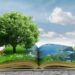 Sostenibilità e cooperazione, Treviso capitale dell’ecologia integrale