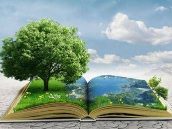Sostenibilità e cooperazione, Treviso capitale dell’ecologia integrale