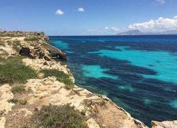 Da meduse a specie ‘rifugiate climatiche’, Boero (Cnr-Ias): “Vi spiego come rispettarle senza timori”