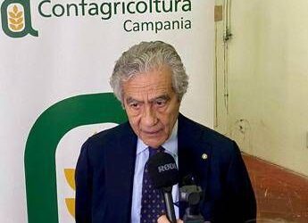 Dazi, Marzano (Confagricoltura Campania): “Più a rischio produzioni meno strutturate”