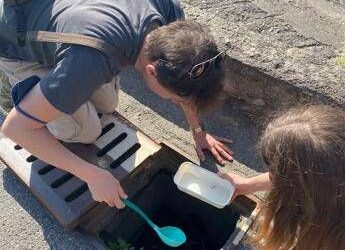 Epis (Statale Milano): “Le zanzare circolano ma la stagione è in ritardo nel Nord Italia”