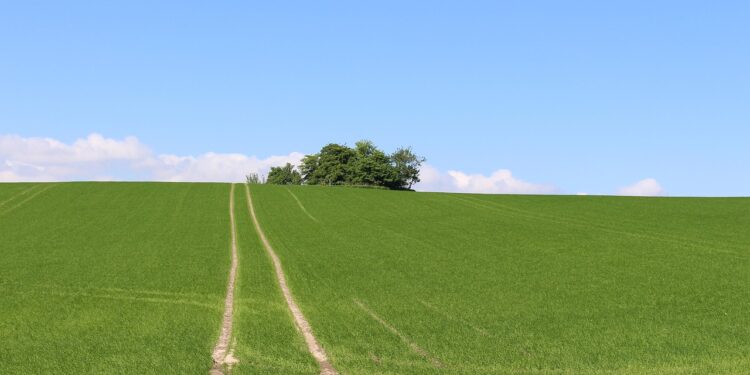 La Danimarca vuole trasformare la crisi climatica in opportunità agricola (e diventare un modello per l’Europa)