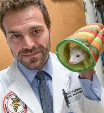 Estate, animali esotici da soli a casa? Il veterinario: “Non più di 24 ore”