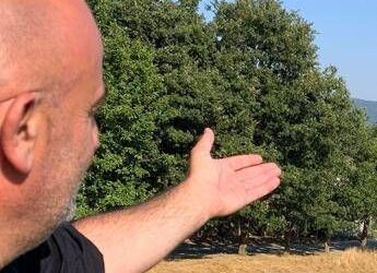 Ferragosto, Grillo (Turismo Verde-Cia): “Tra natura, relax e buon cibo sold out agriturismi”