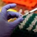 Cancro al polmone, studio italiano scopre meccanismo di resistenza all’immunoterapia