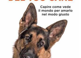 In libreria ‘Con gli occhi del tuo cane’ di Federico Coccìa, “Non si possono clonare, hanno un’anima”