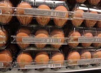 Quanti errori in cucina, dal frigo all’igiene: il decalogo dell’Iss per pasti sicuri