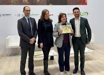 Un Sacco in Comune, Crotone vince sfida del riciclo tra capoluoghi calabresi