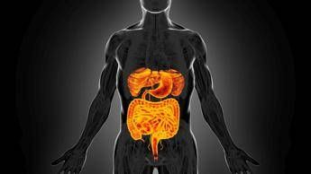 Intestino sempre giovane, è possibile: come fermare invecchiamento e prevenire tumori