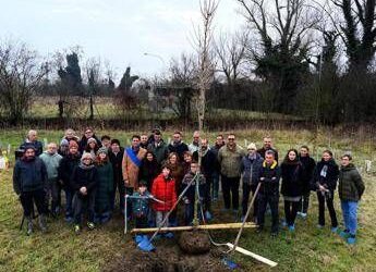 KilometroVerdeParma celebre traguardo storico, piantato 100.000esimo albero